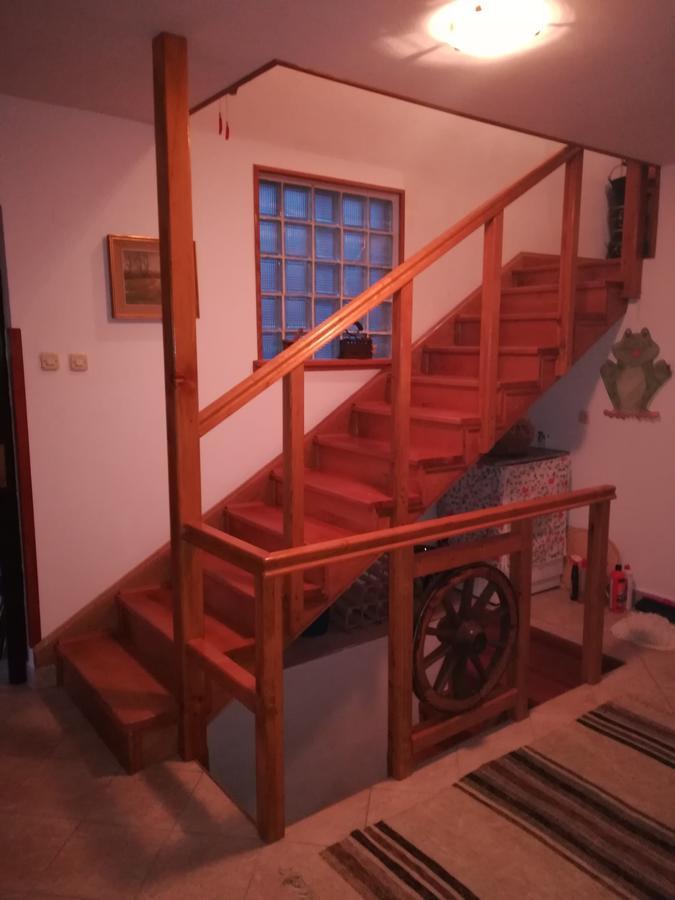 Villa Natali Donji Babin Potok Eksteriør billede